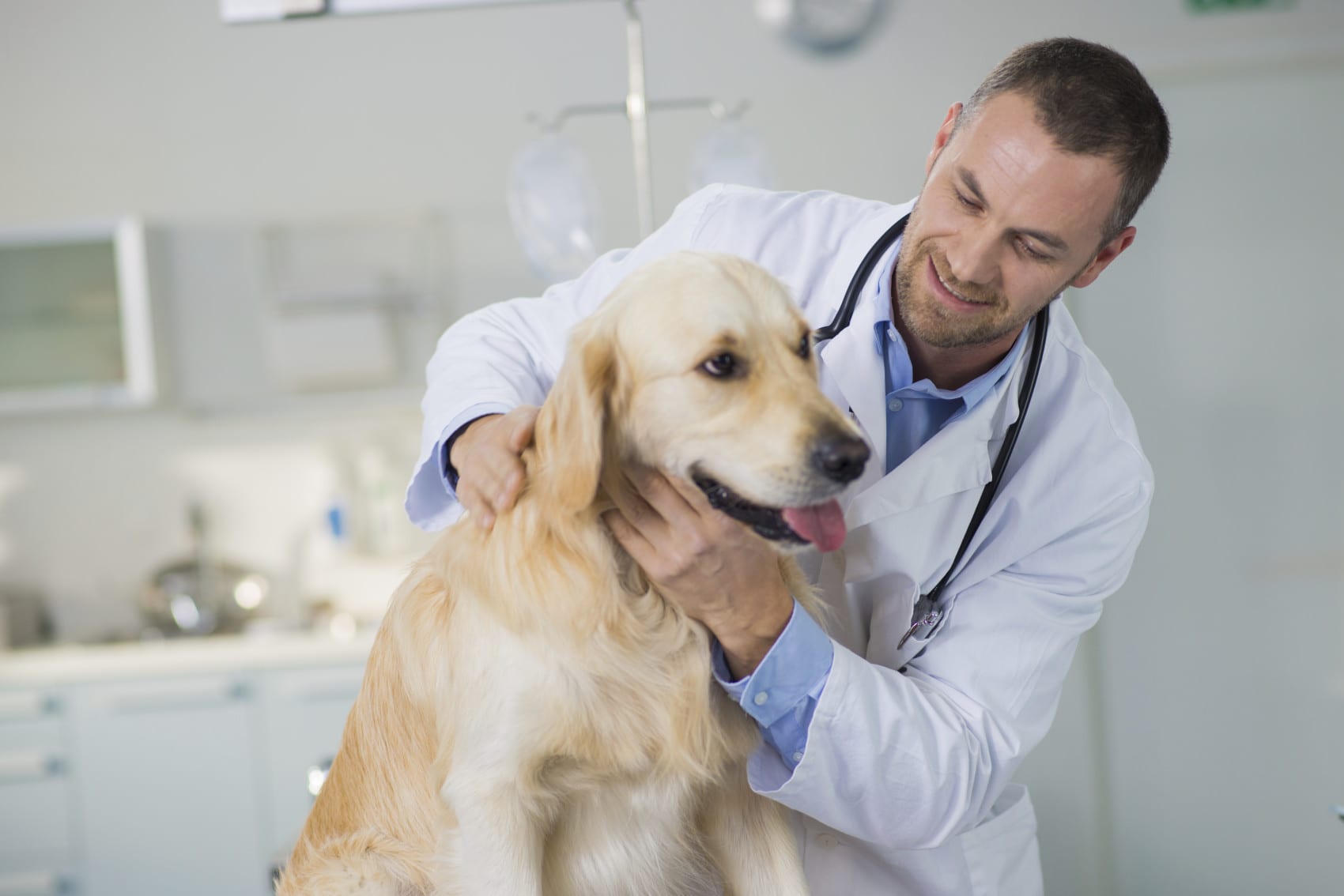 Vets