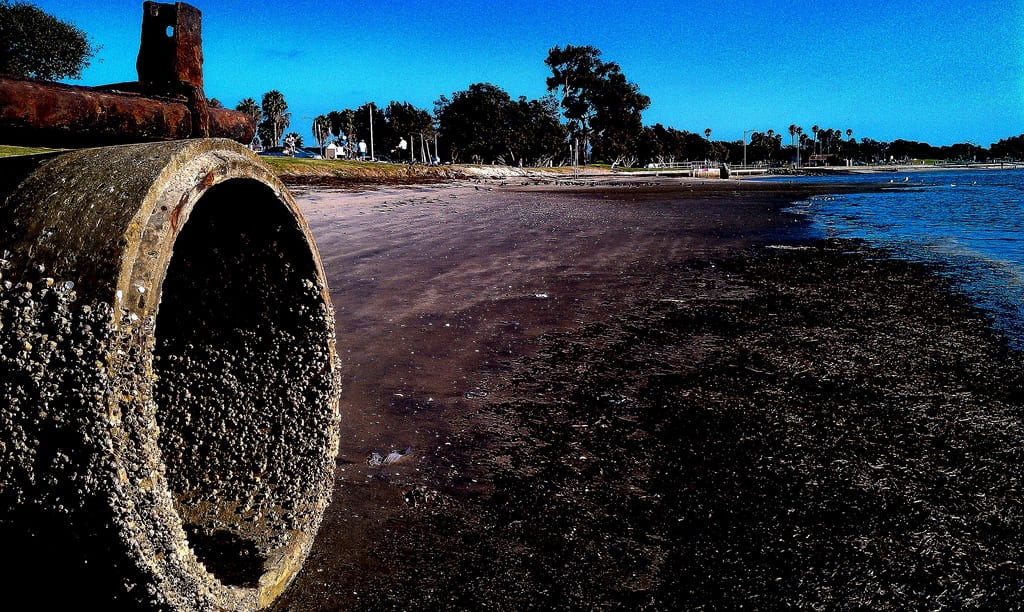 environmental-offences