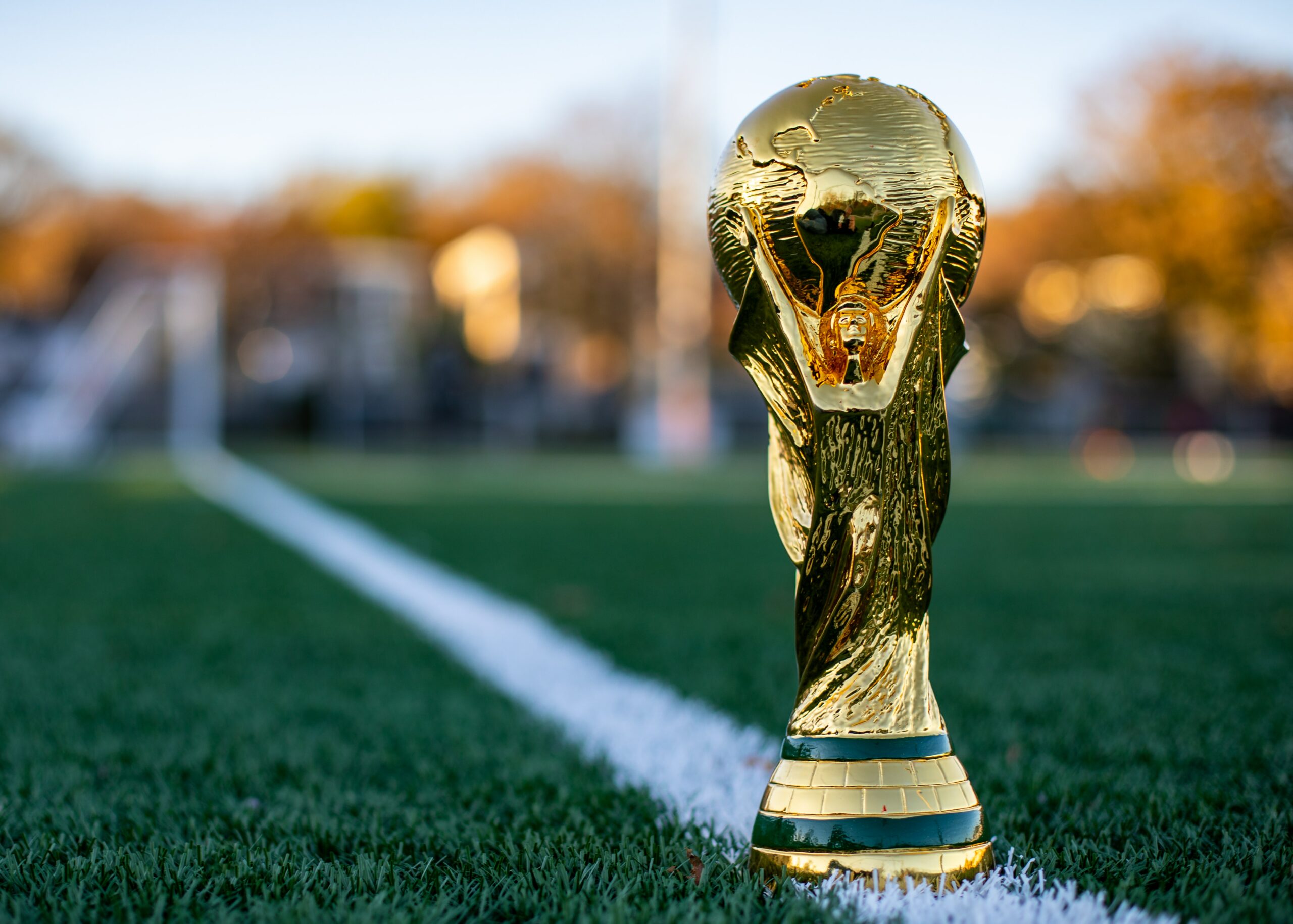 World Cup trophy sitting on football pitch touchline