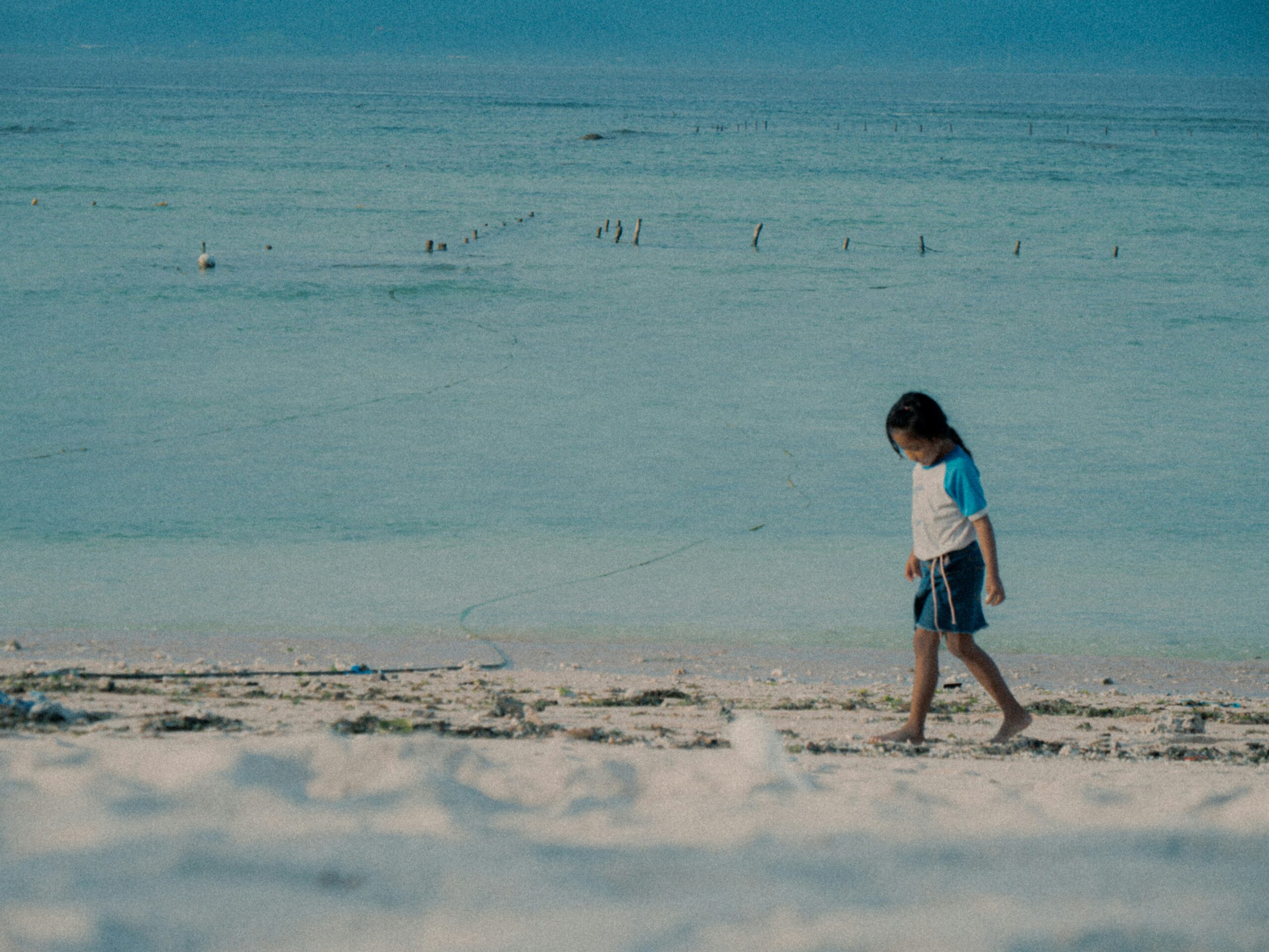 hanna-lazar-hxxn1jafBt0-unsplash-scaled